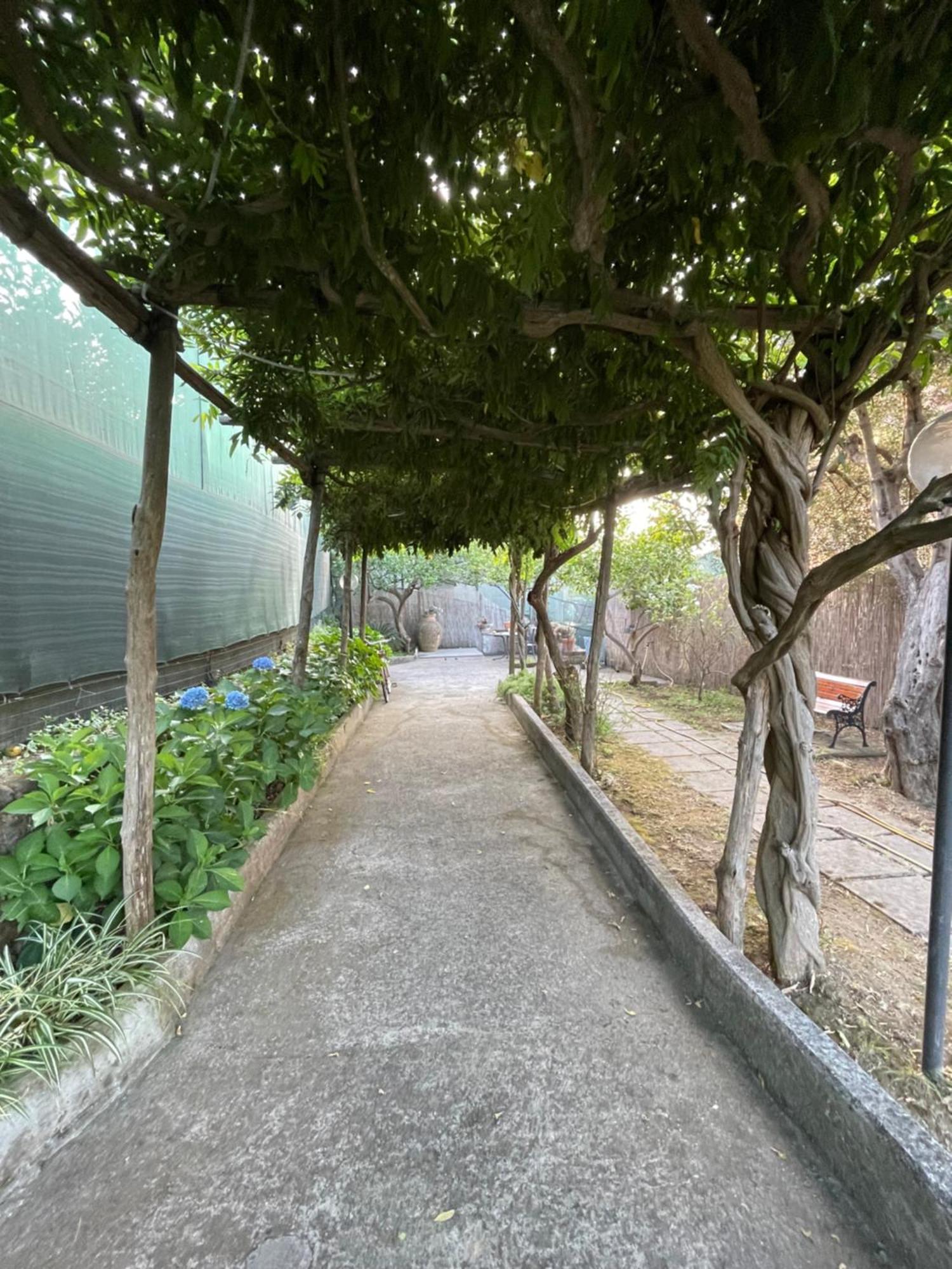 Villa Rosmary Massa Lubrense Εξωτερικό φωτογραφία