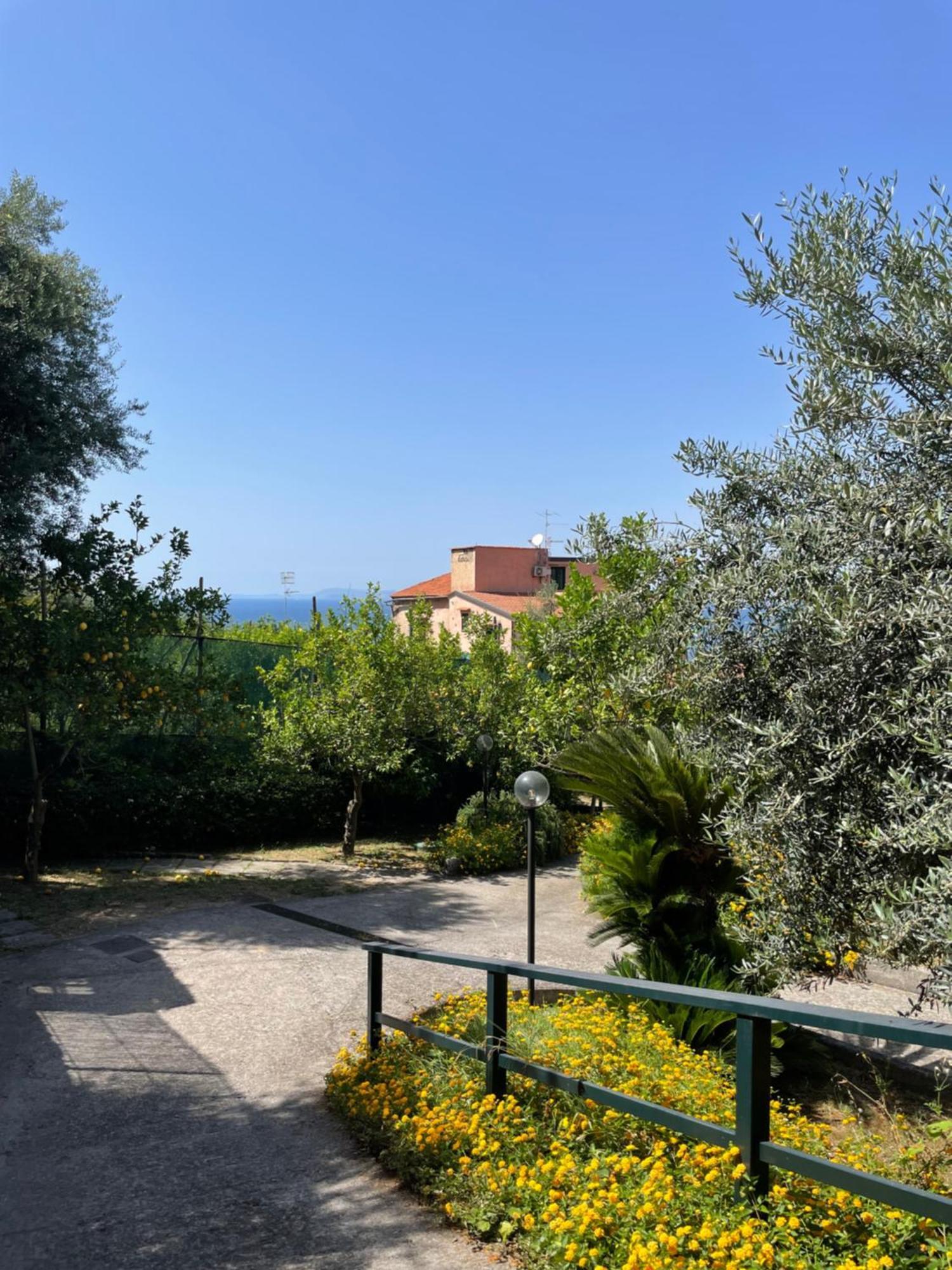 Villa Rosmary Massa Lubrense Εξωτερικό φωτογραφία