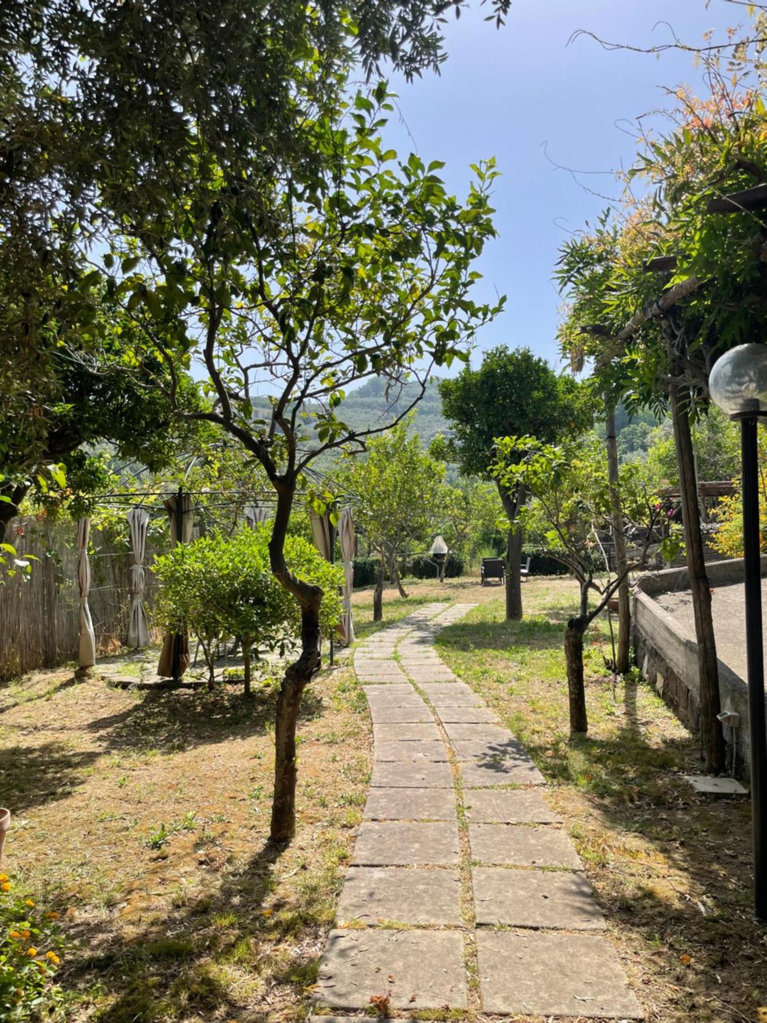 Villa Rosmary Massa Lubrense Εξωτερικό φωτογραφία