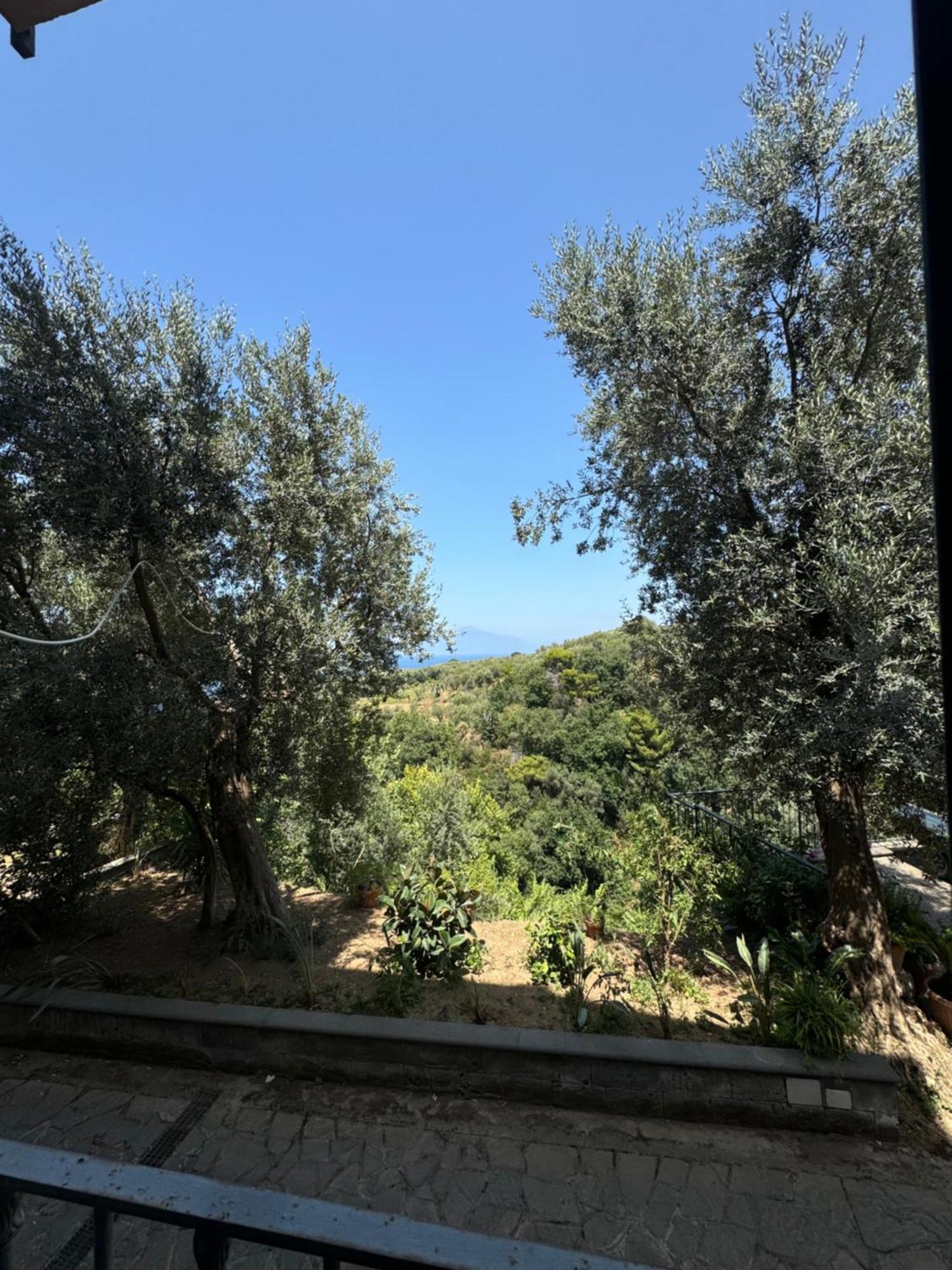 Villa Rosmary Massa Lubrense Εξωτερικό φωτογραφία