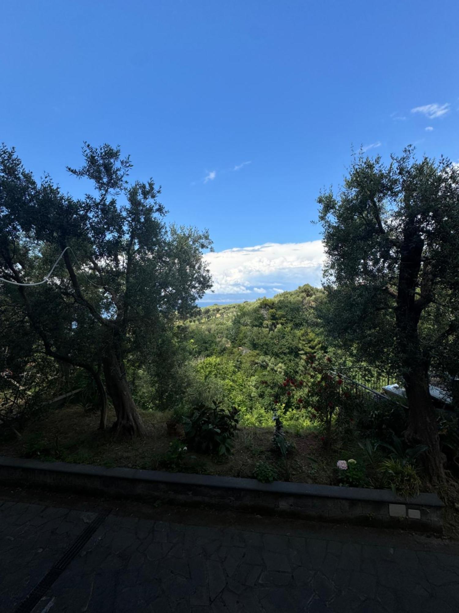 Villa Rosmary Massa Lubrense Εξωτερικό φωτογραφία